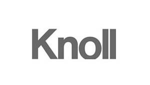 KNOLL INTERNATIONAL